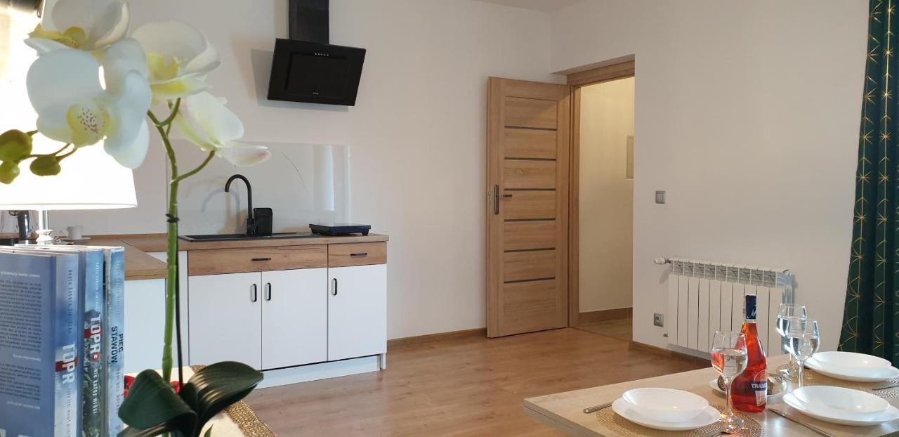 Apartament Na Brzyzku Закопане Экстерьер фото
