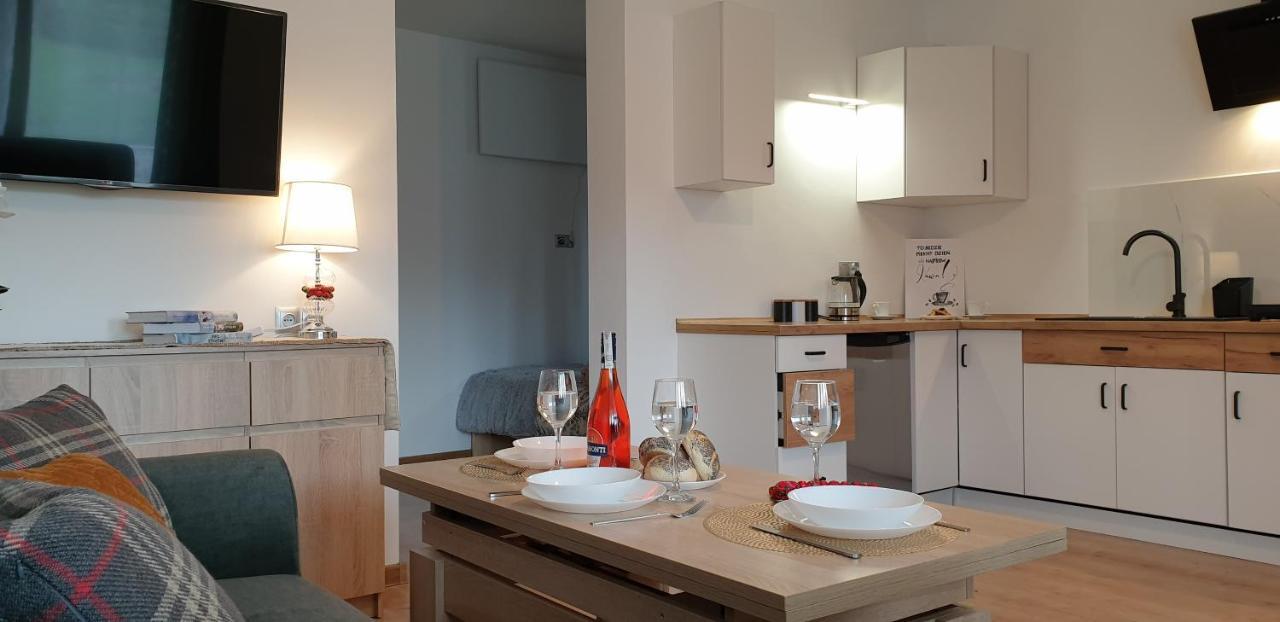 Apartament Na Brzyzku Закопане Экстерьер фото