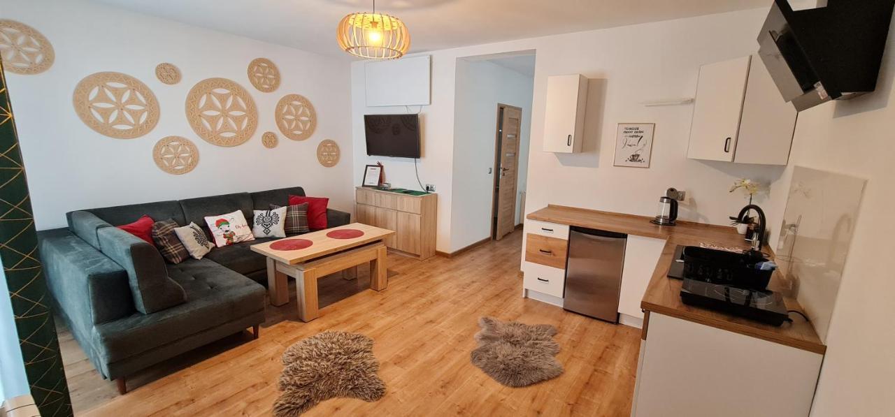 Apartament Na Brzyzku Закопане Экстерьер фото