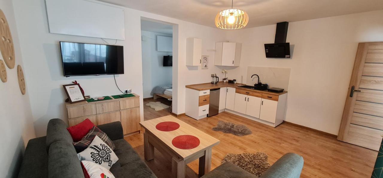 Apartament Na Brzyzku Закопане Экстерьер фото